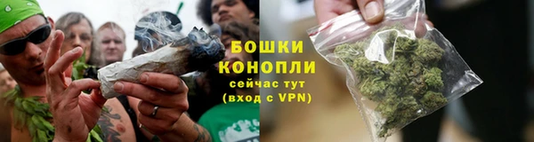 прущий лед Белокуриха